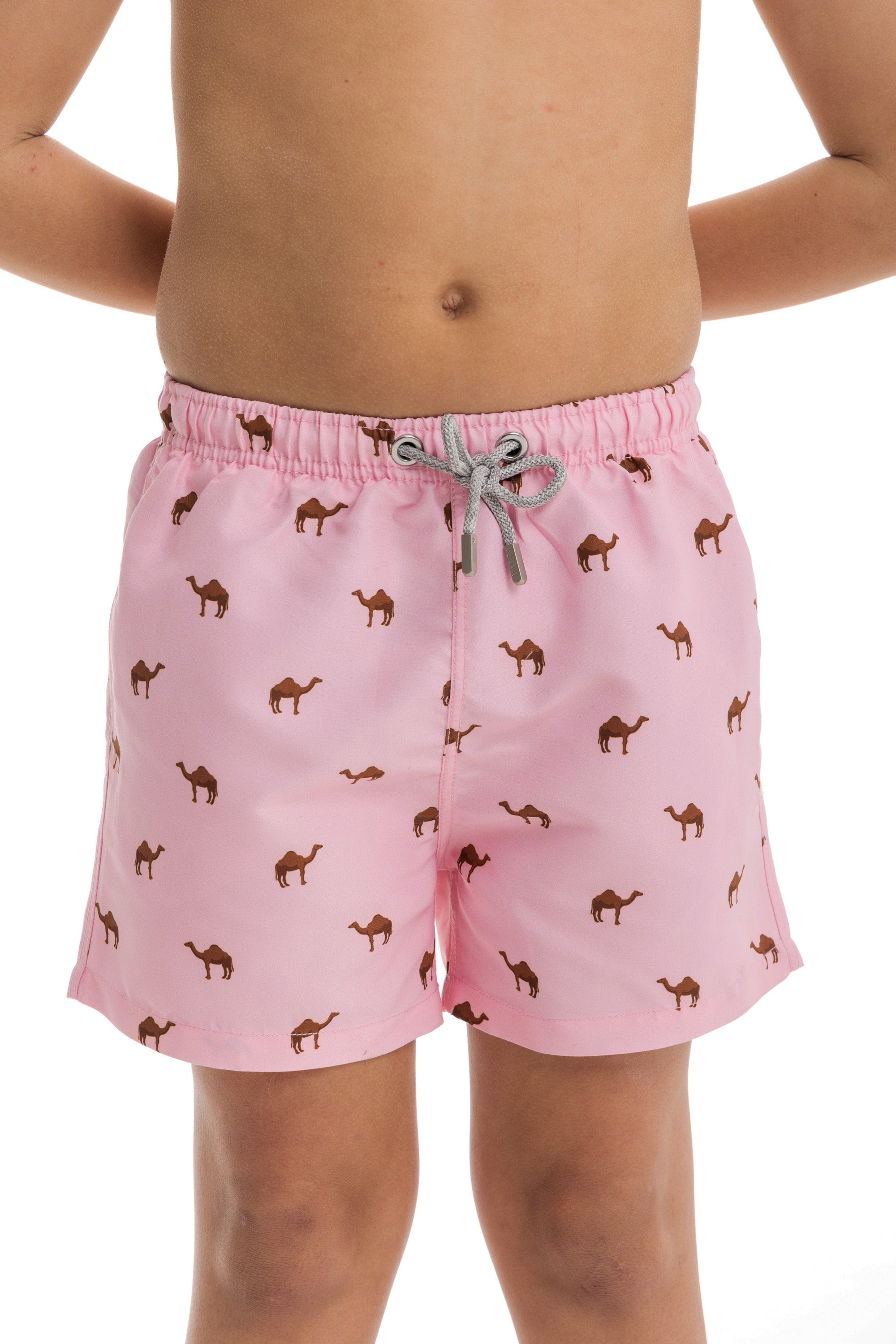 Mini Pink Camels – Kai Collections
