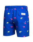 Blue Camels