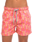 Mini Pink Zebras