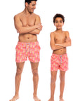 Mini Pink Zebras