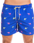 Blue Camels
