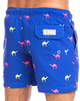 Blue Camels