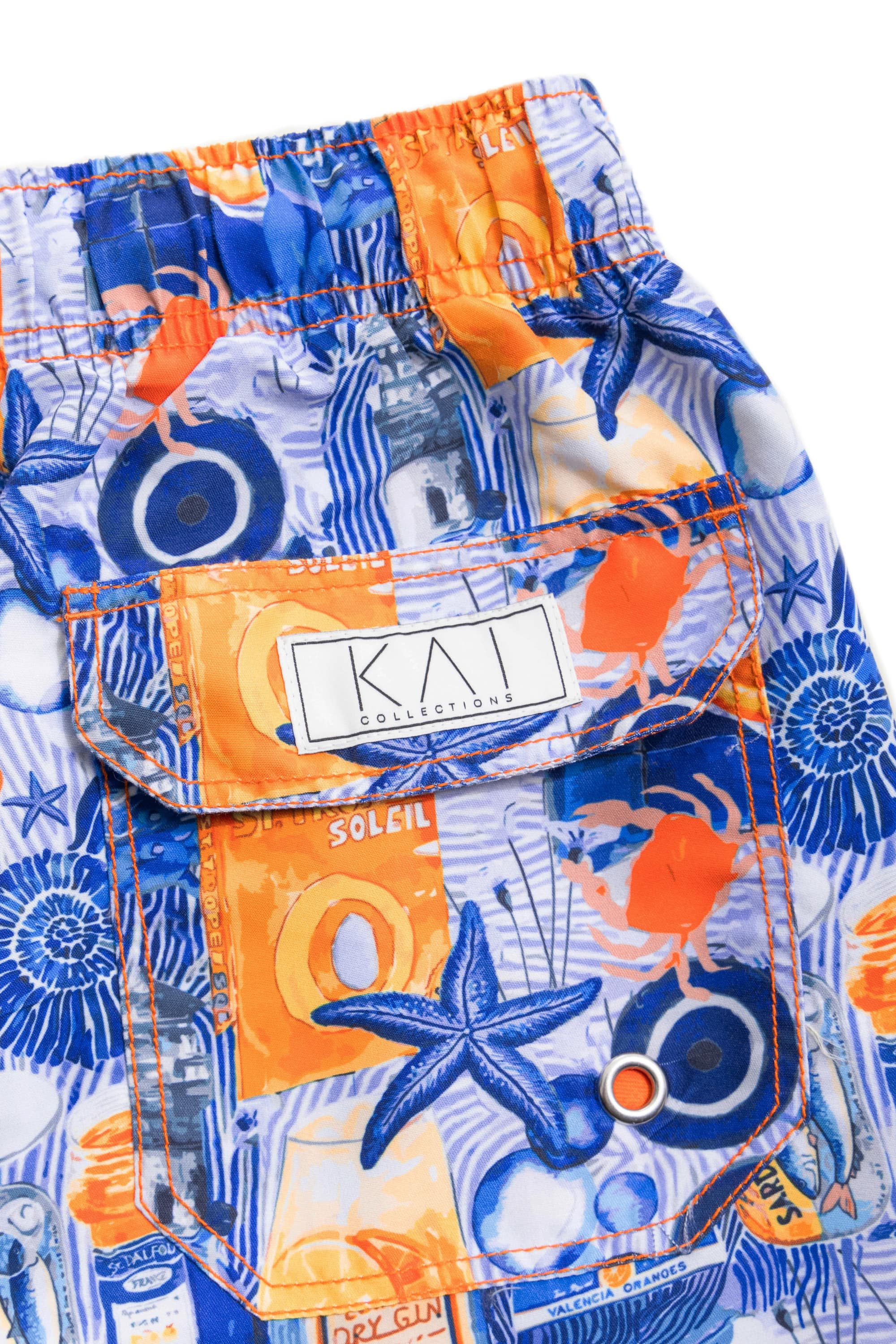 Summers In Europe Swim Shorts