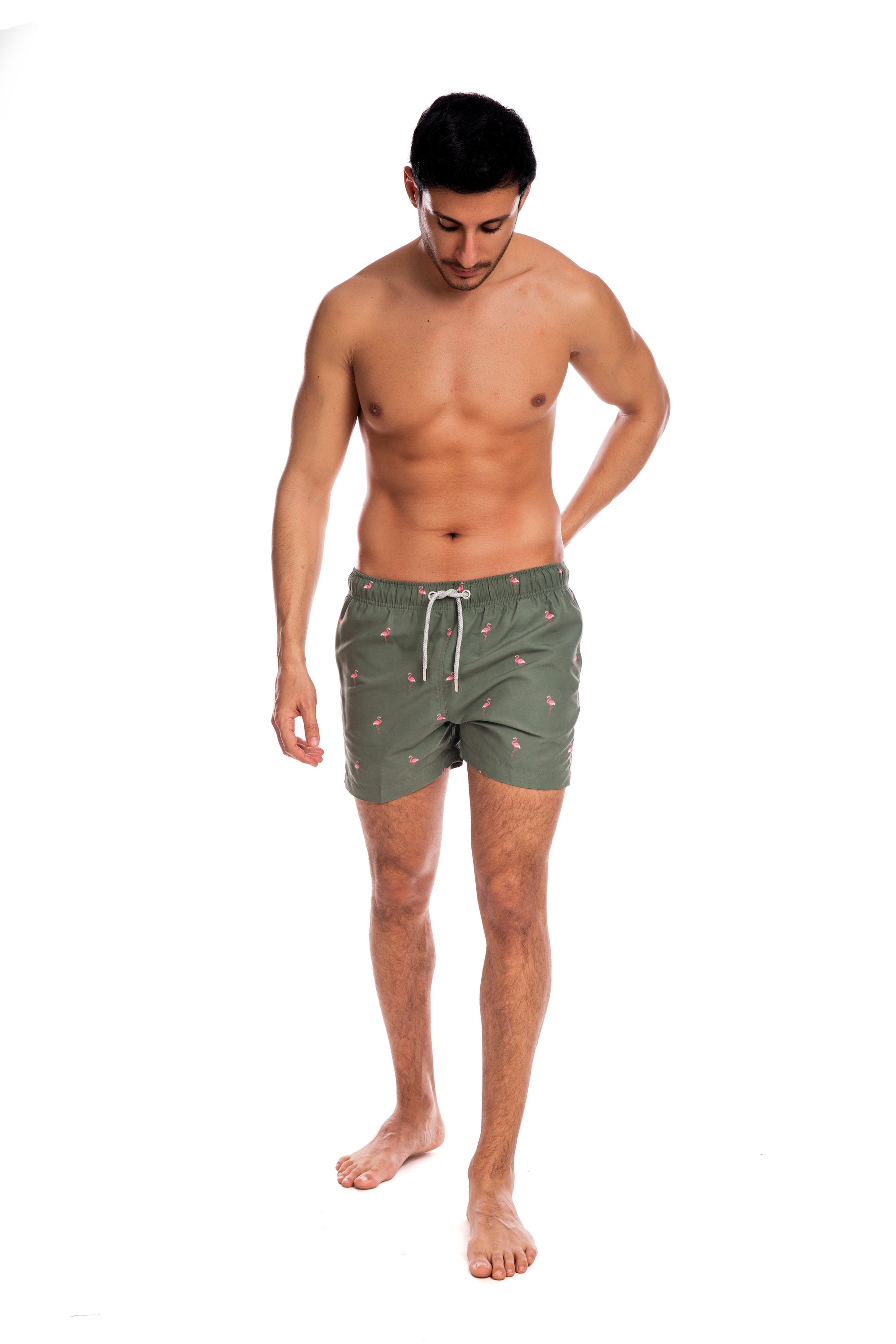 Olive Flamingos 2.0