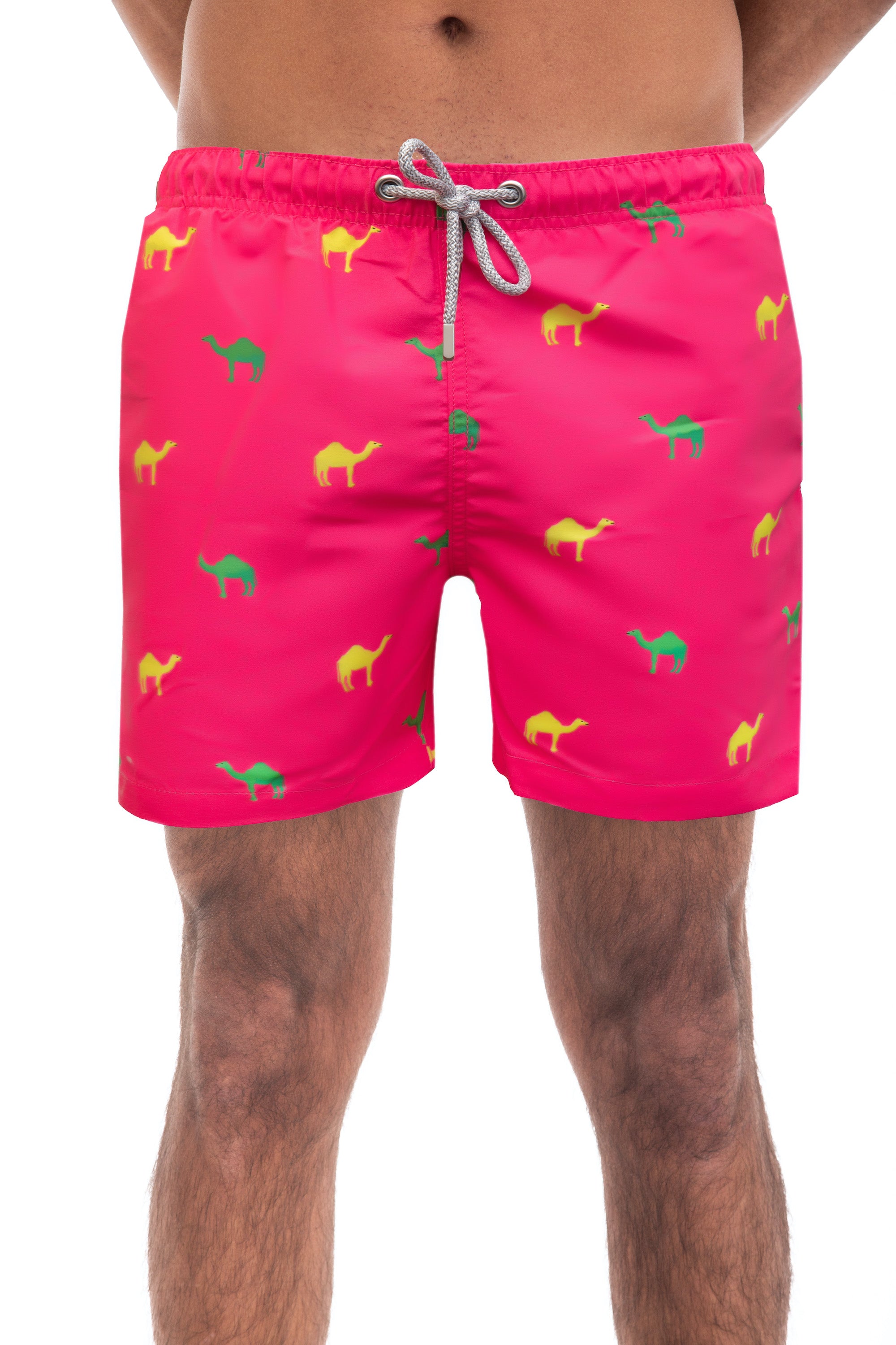 Pink Camels