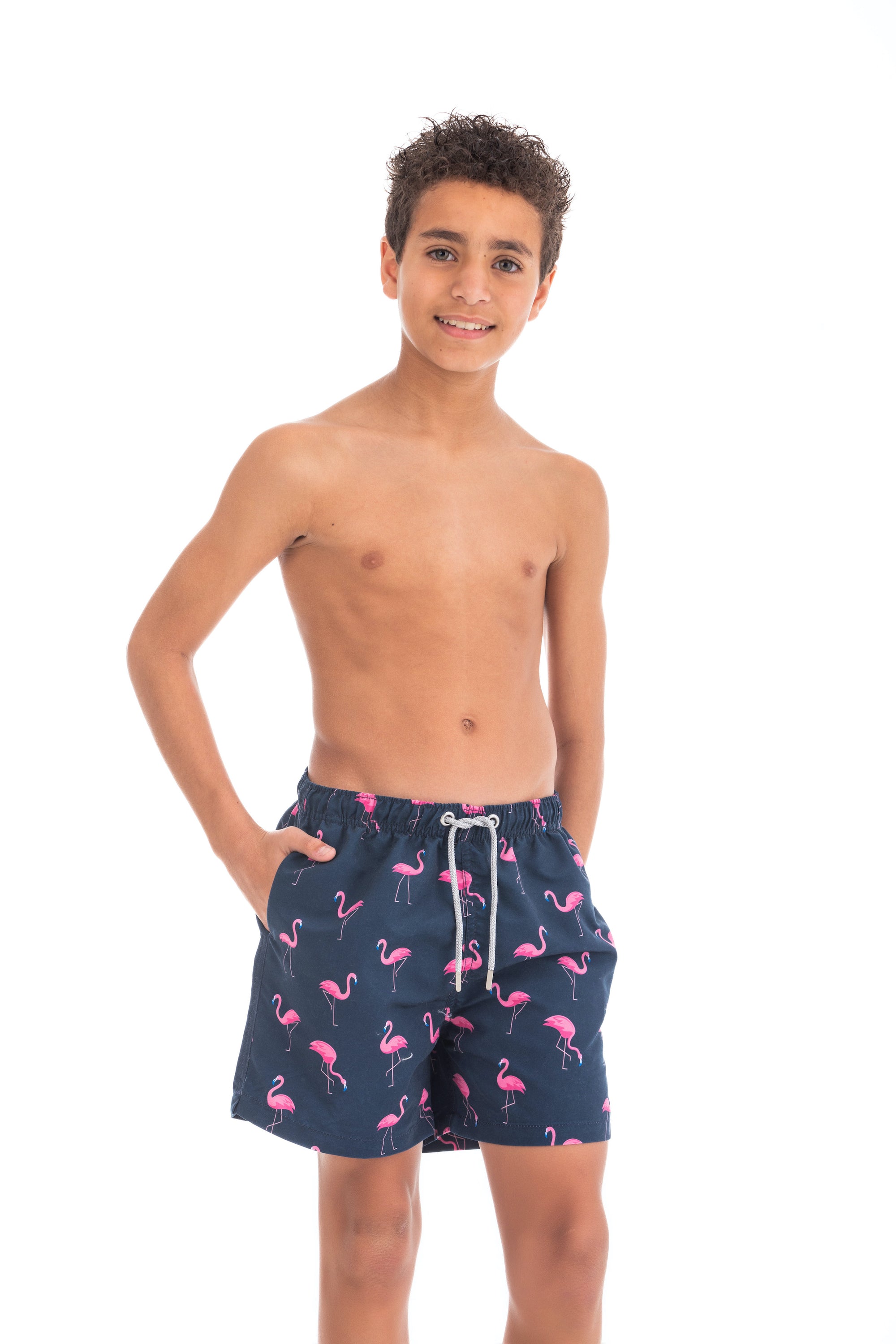 Mini Navy Flamingos
