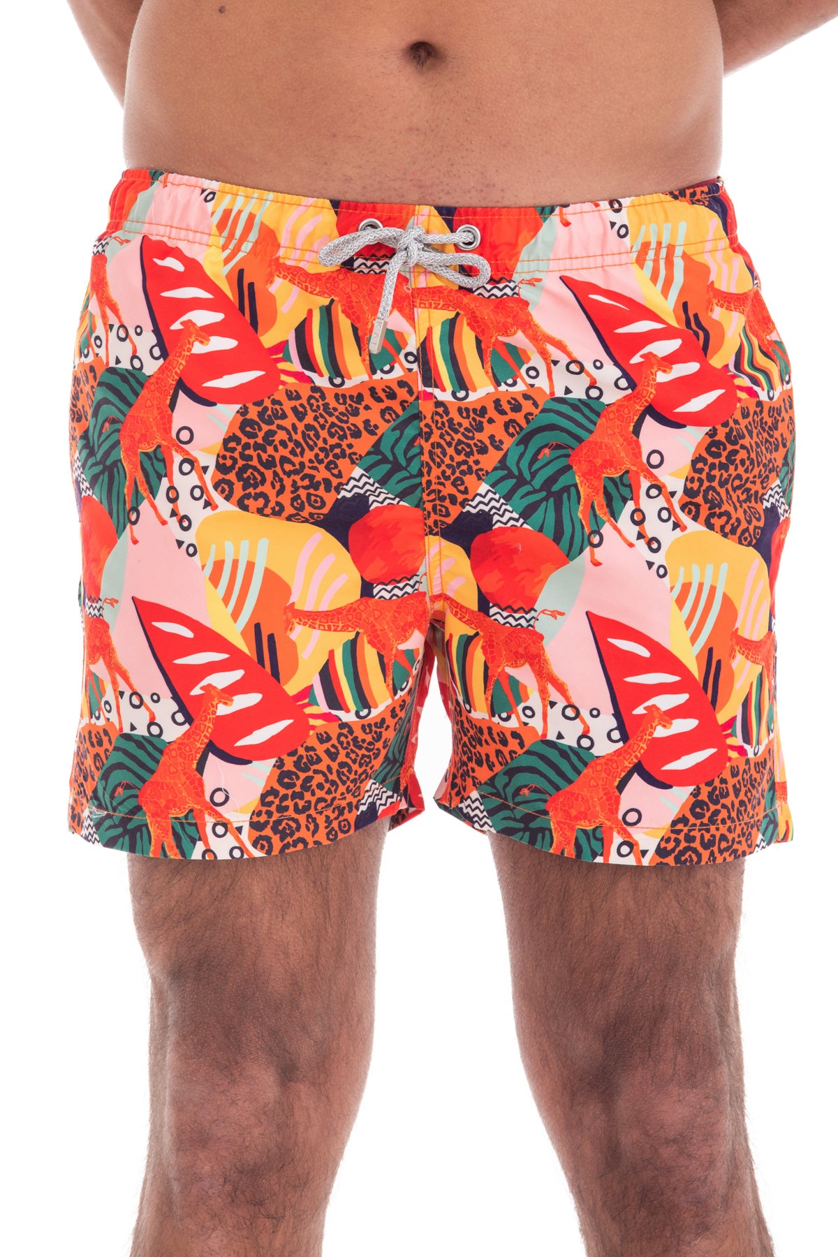Abstract Safari