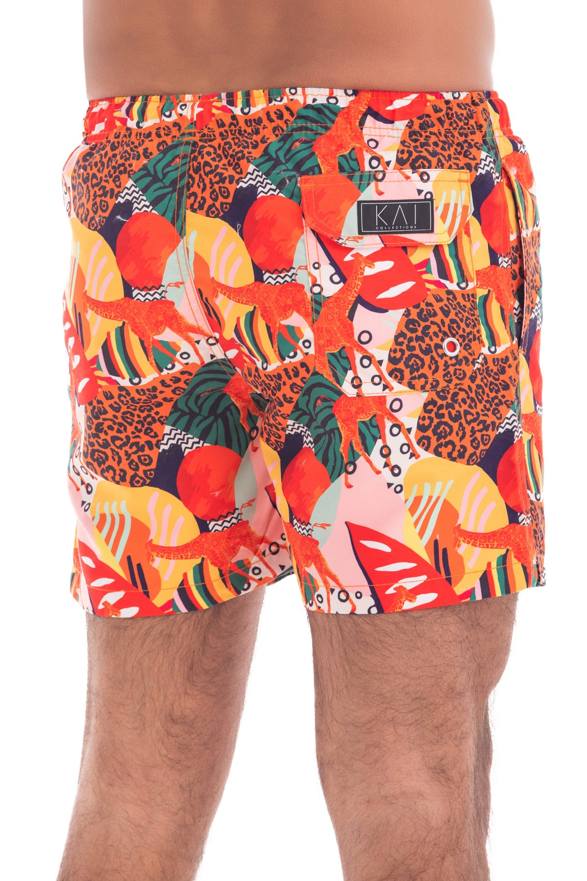 Abstract Safari
